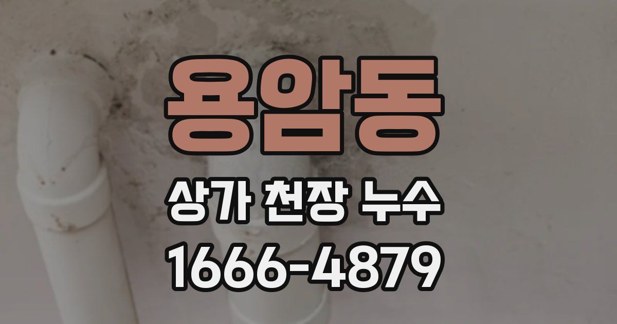 용암동 상가 천장 누수