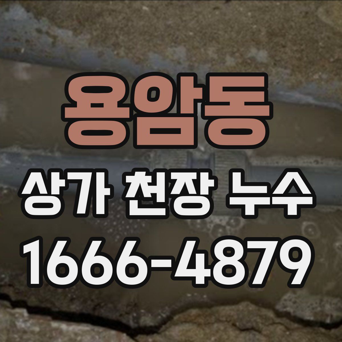 용암동 상가 천장 누수