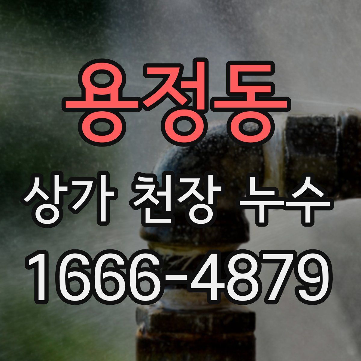용정동 상가 천장 누수