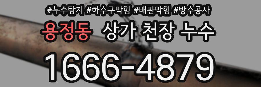 용정동 상가 천장 누수