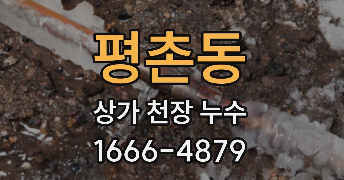 평촌동 상가 천장 누수