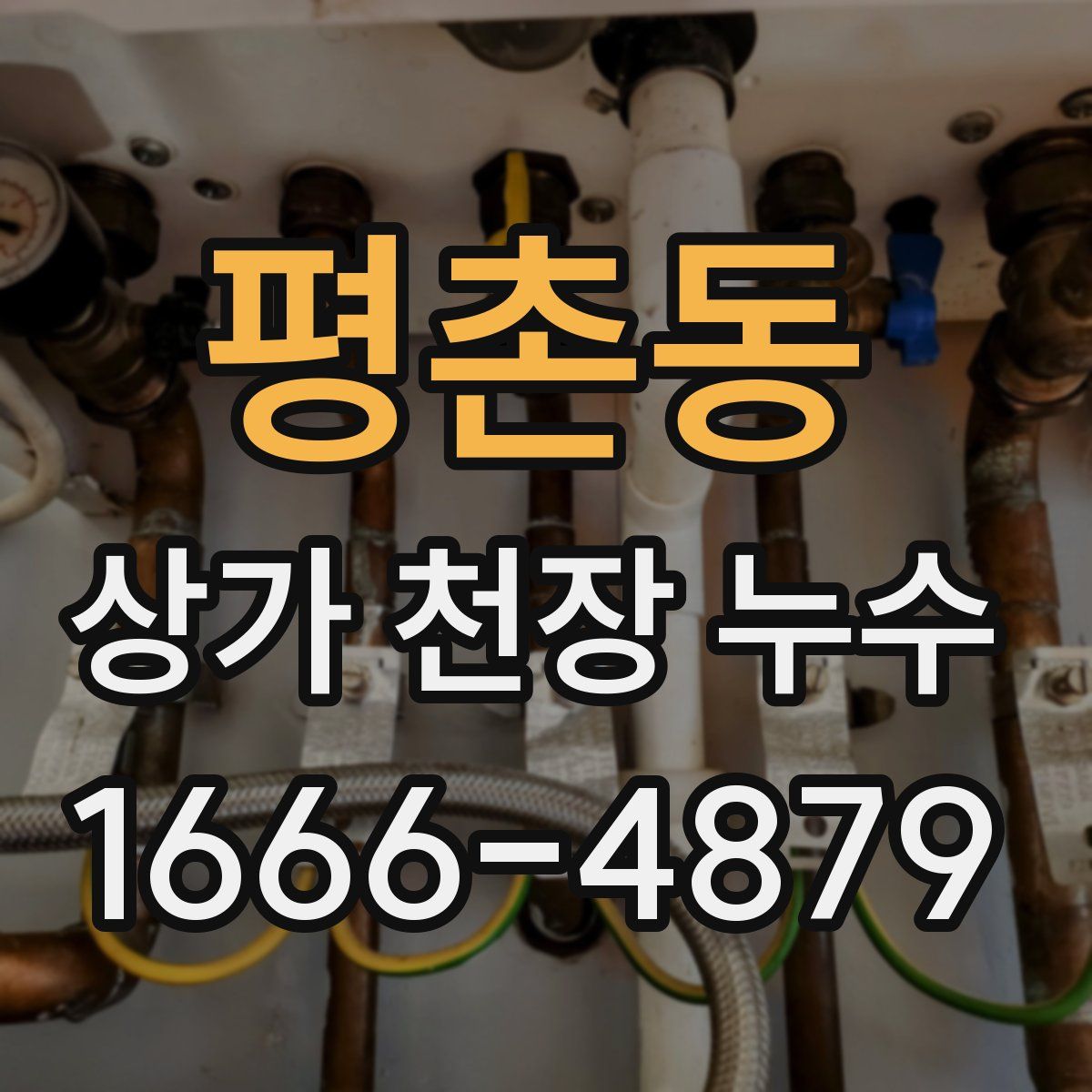 평촌동 상가 천장 누수