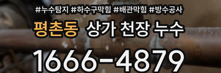 평촌동 상가 천장 누수