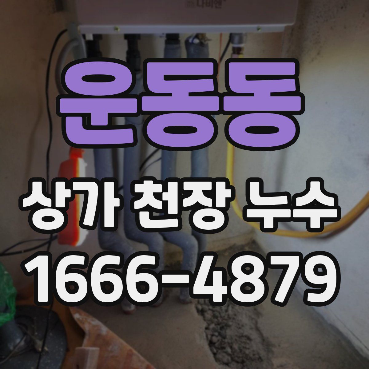 운동동 상가 천장 누수