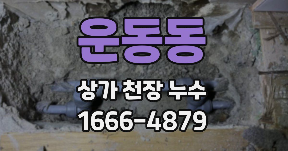 운동동 상가 천장 누수