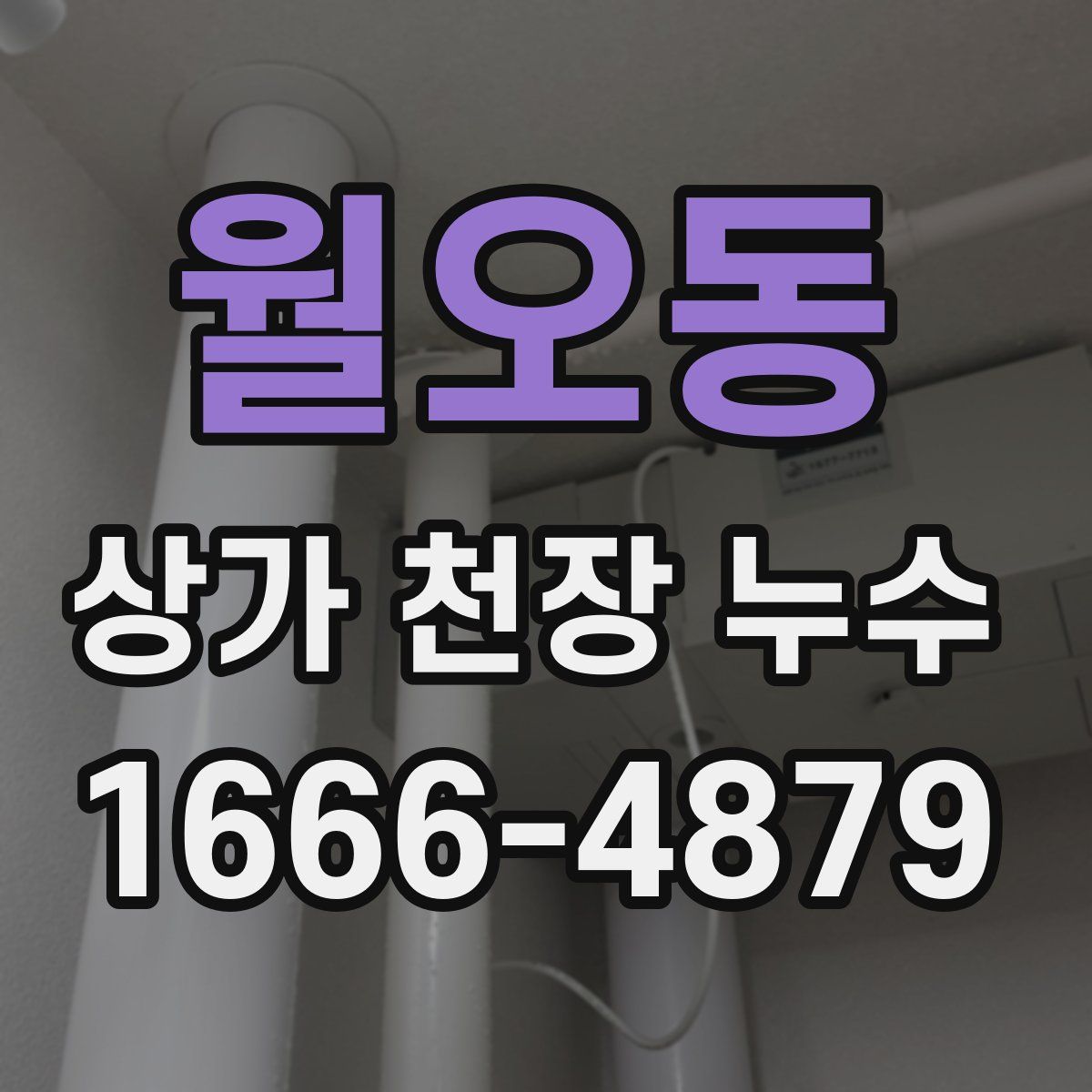 월오동 상가 천장 누수