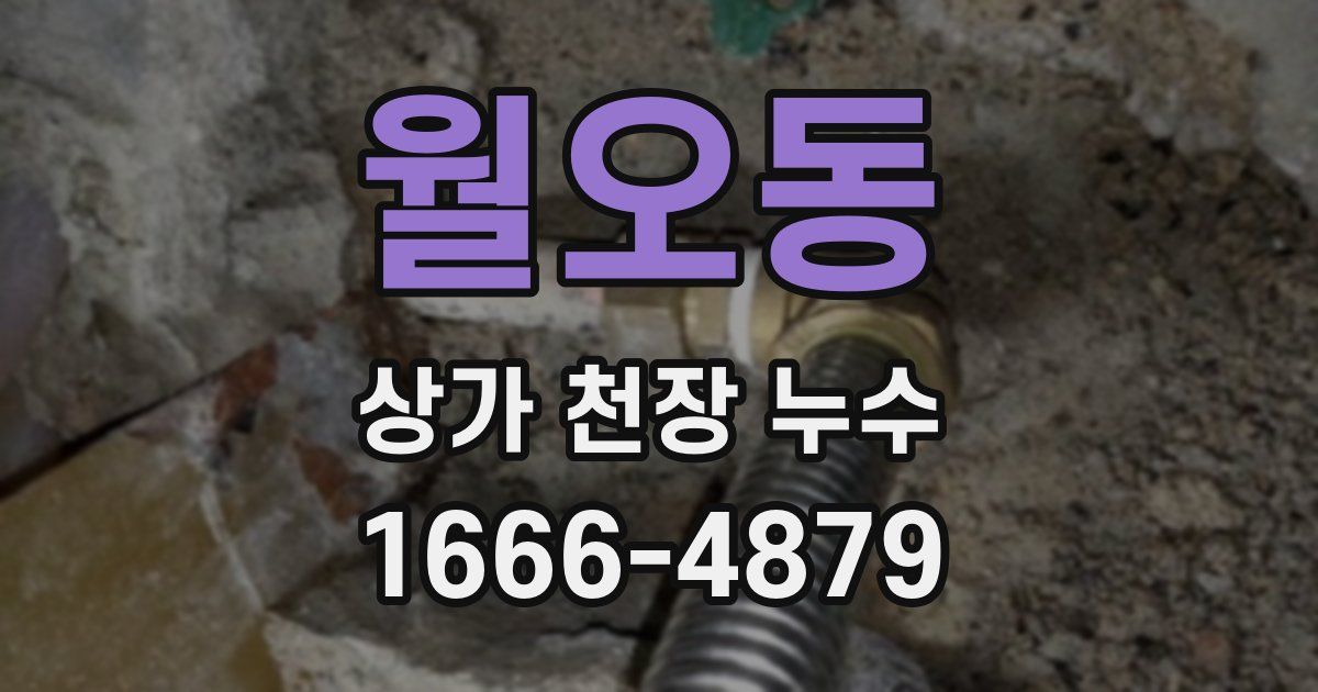 월오동 상가 천장 누수