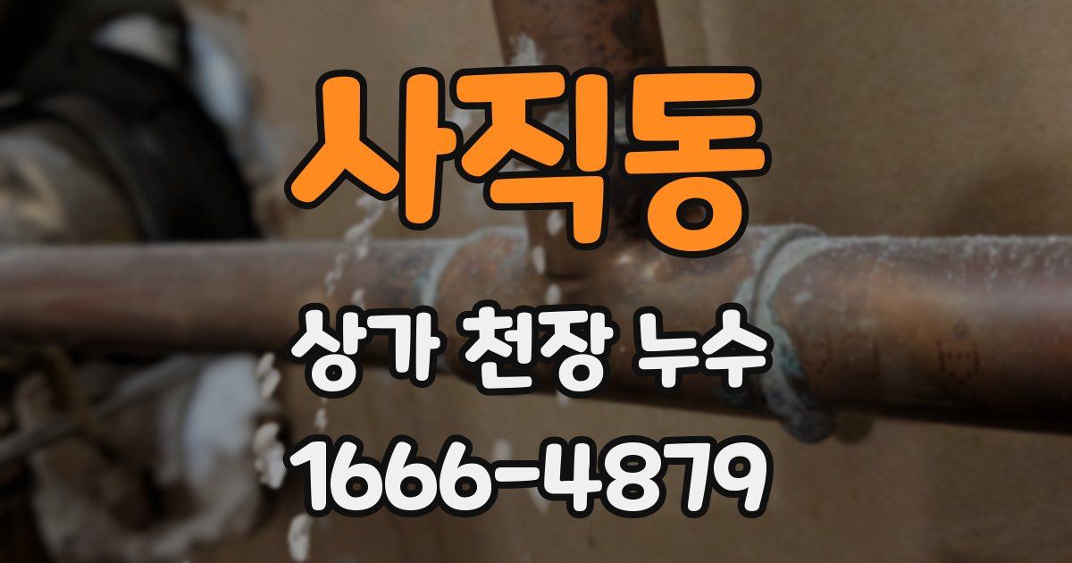 사직동 상가 천장 누수