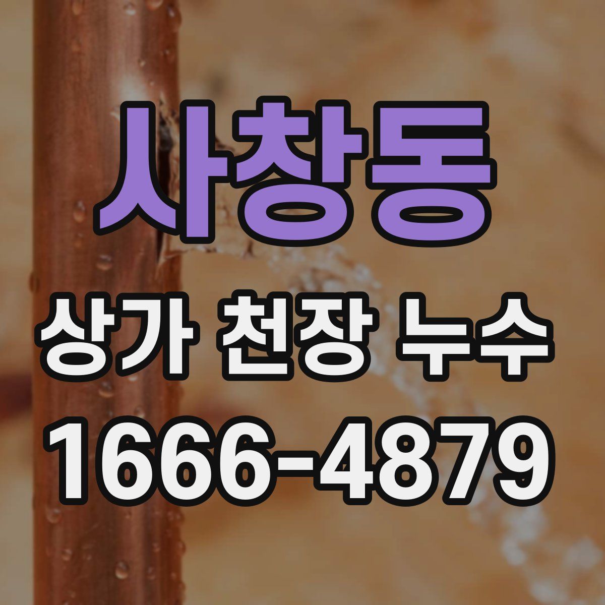 사창동 상가 천장 누수