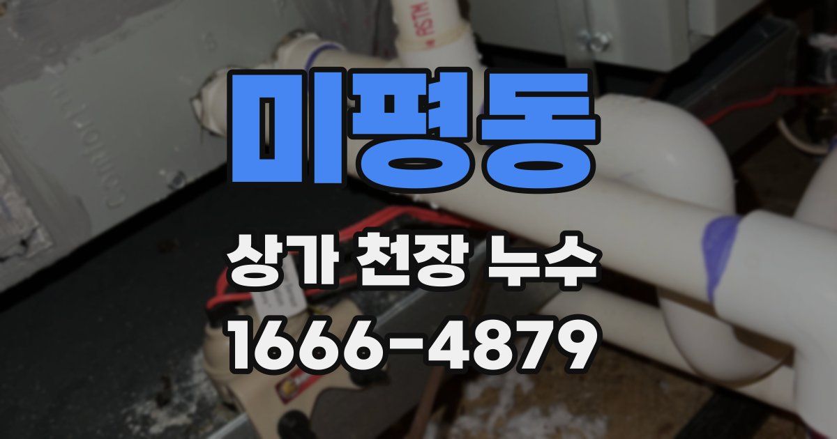 미평동 상가 천장 누수