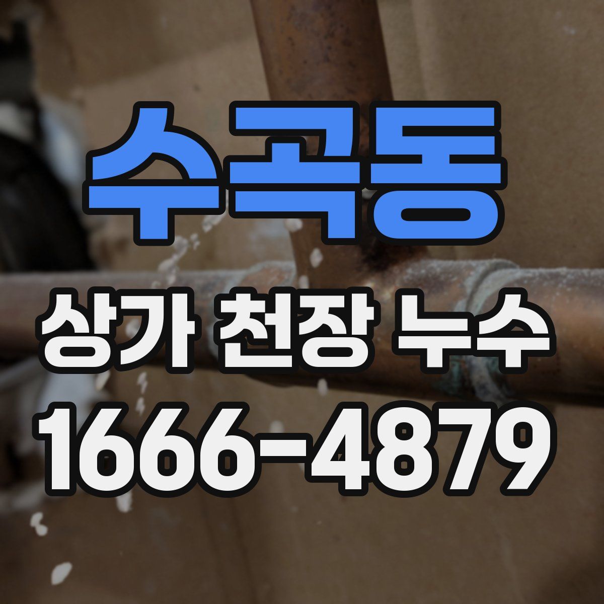 수곡동 상가 천장 누수