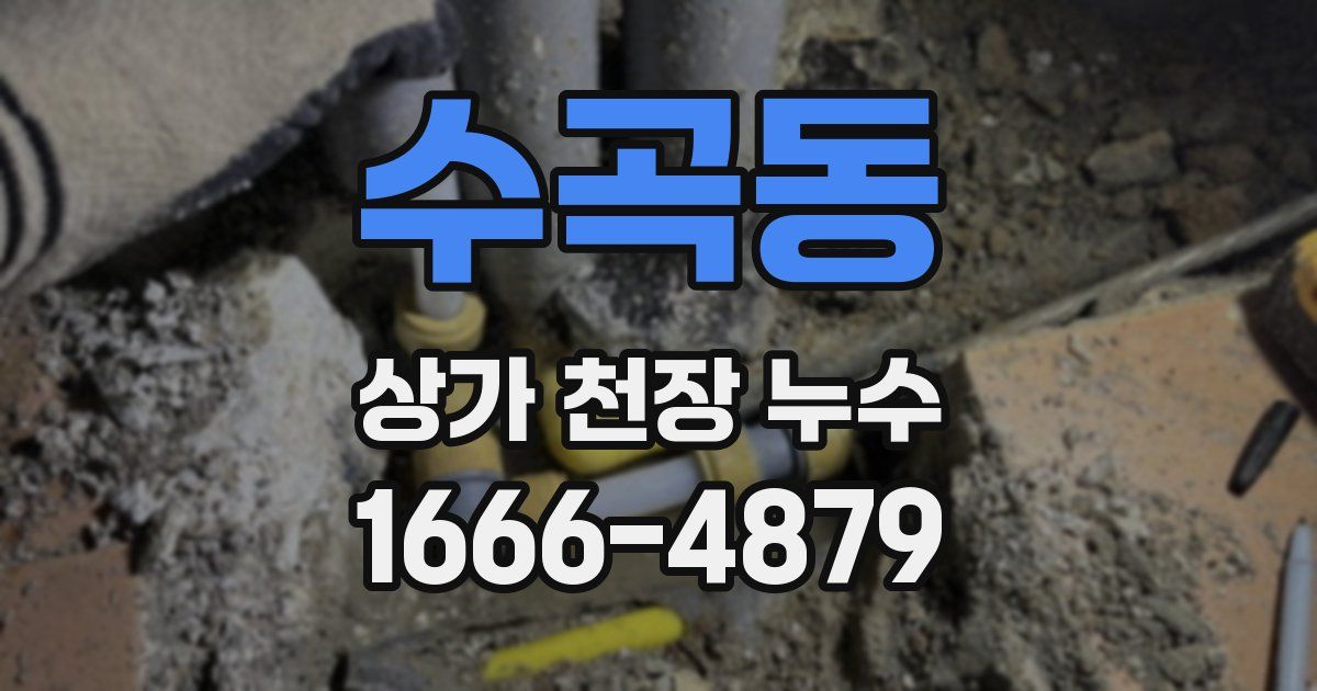 수곡동 상가 천장 누수