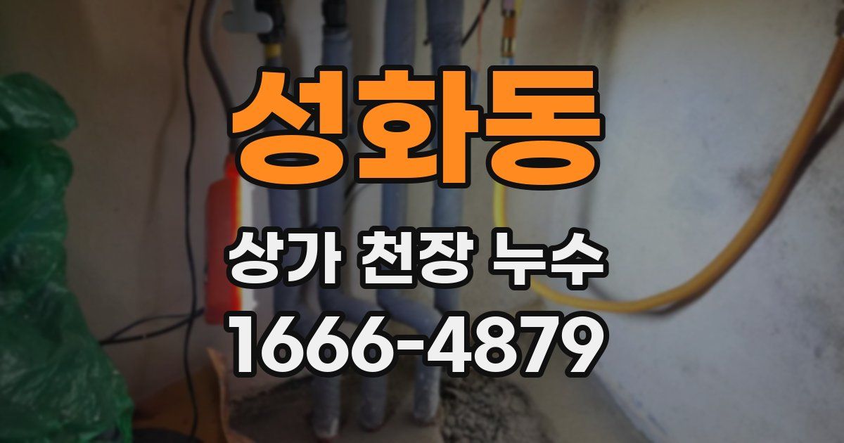 성화동 상가 천장 누수