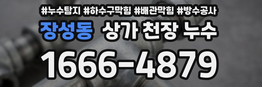 장성동 상가 천장 누수