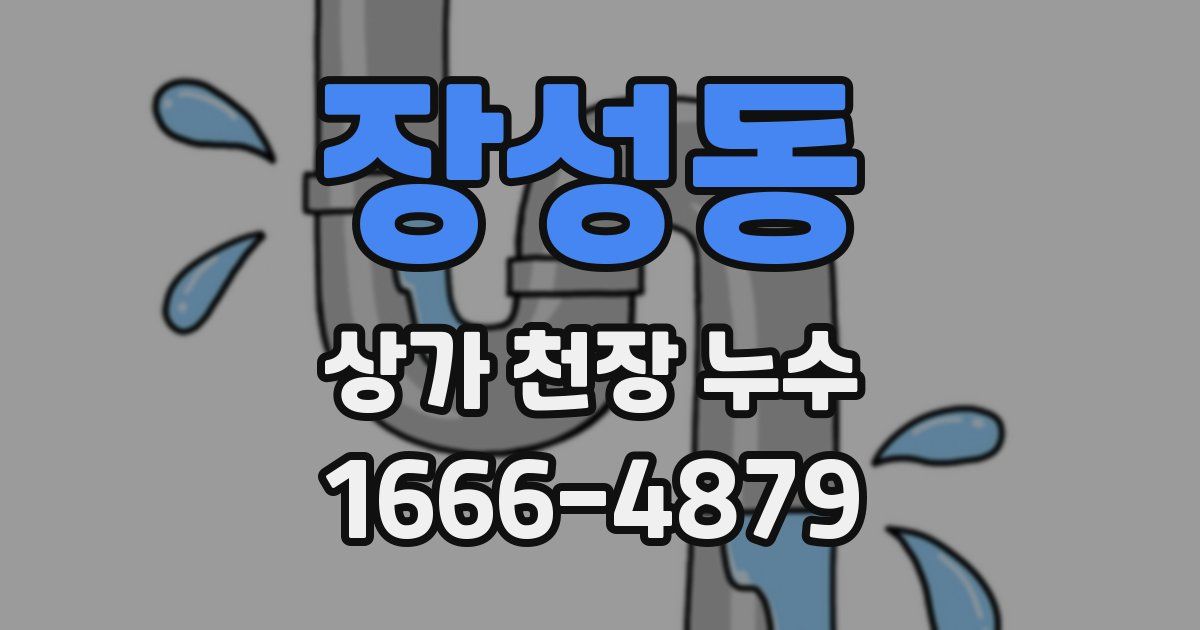 장성동 상가 천장 누수