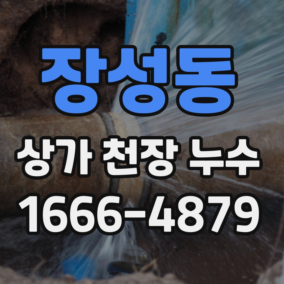 장성동 상가 천장 누수