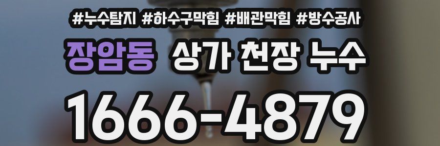 장암동 상가 천장 누수