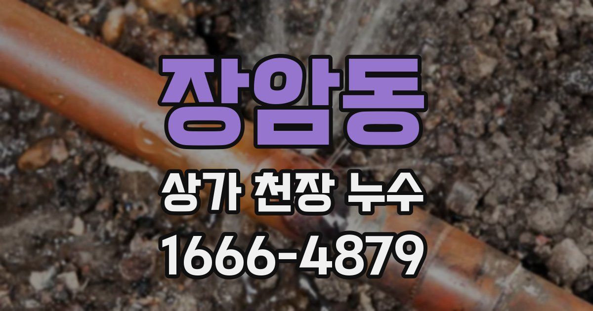 장암동 상가 천장 누수