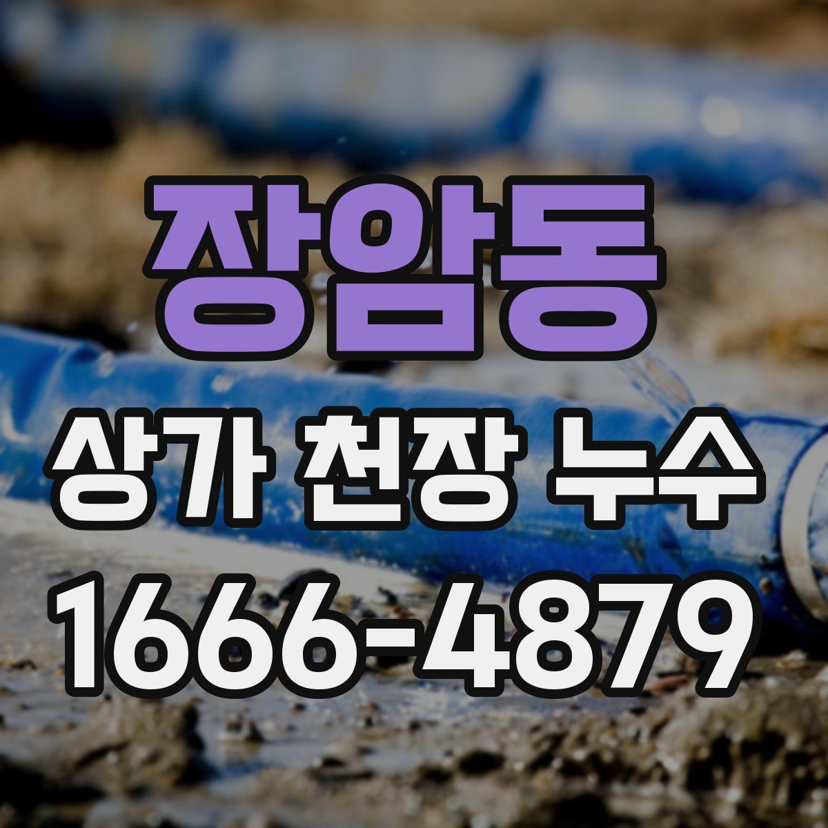 장암동 상가 천장 누수