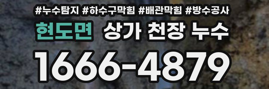 현도면 상가 천장 누수