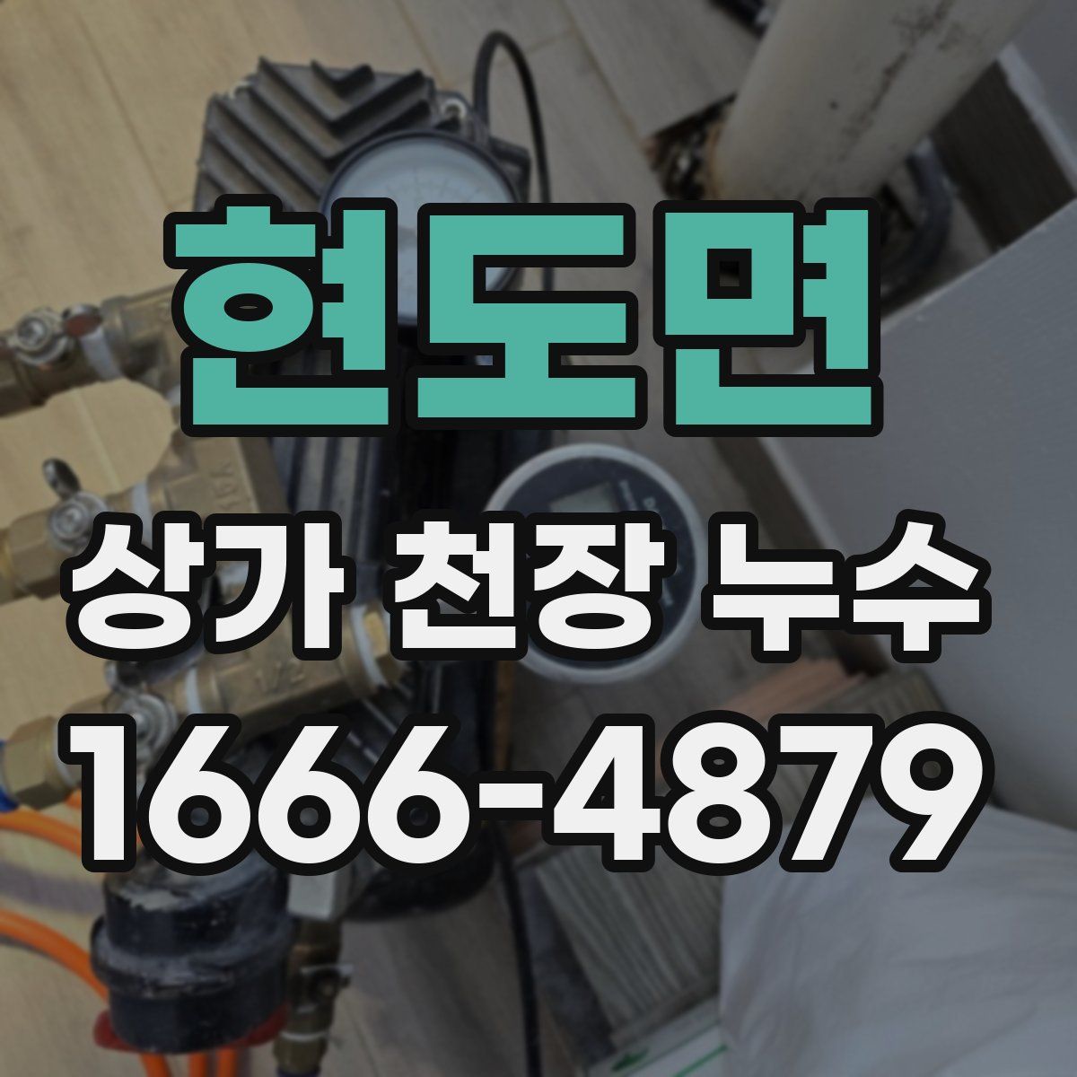 현도면 상가 천장 누수