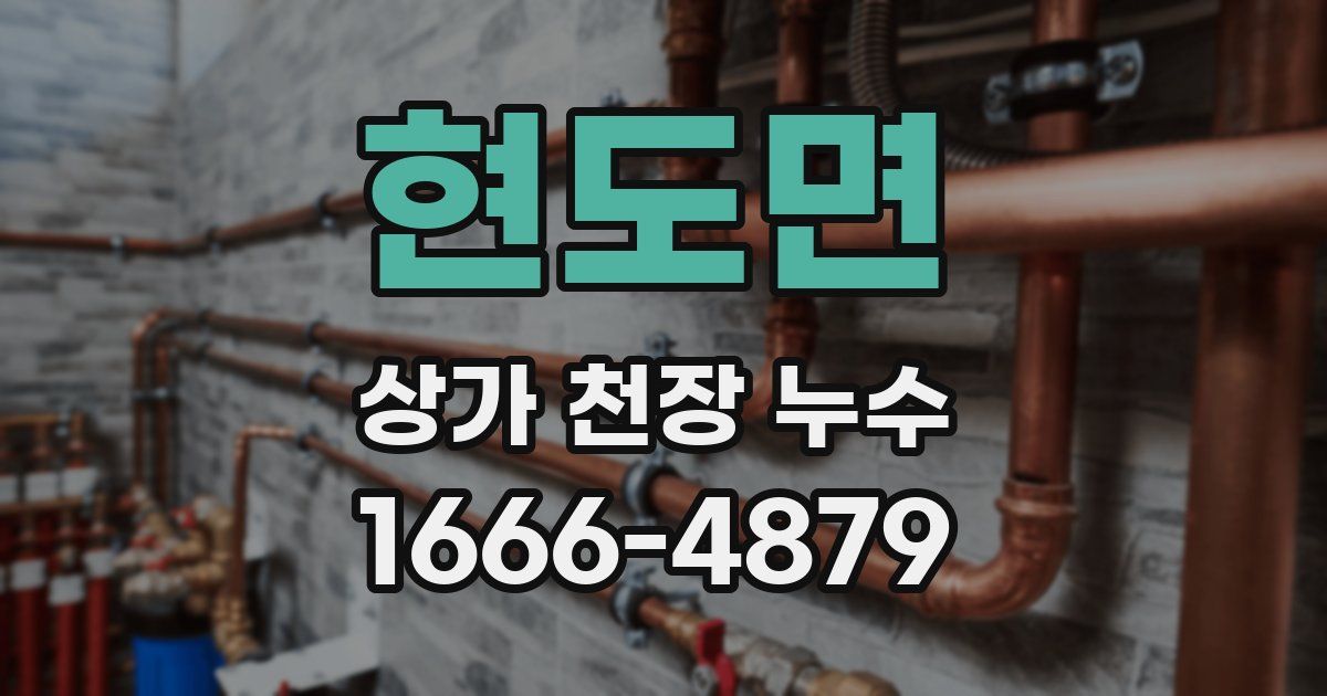 현도면 상가 천장 누수