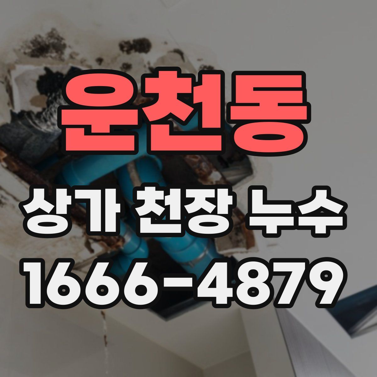 운천동 상가 천장 누수