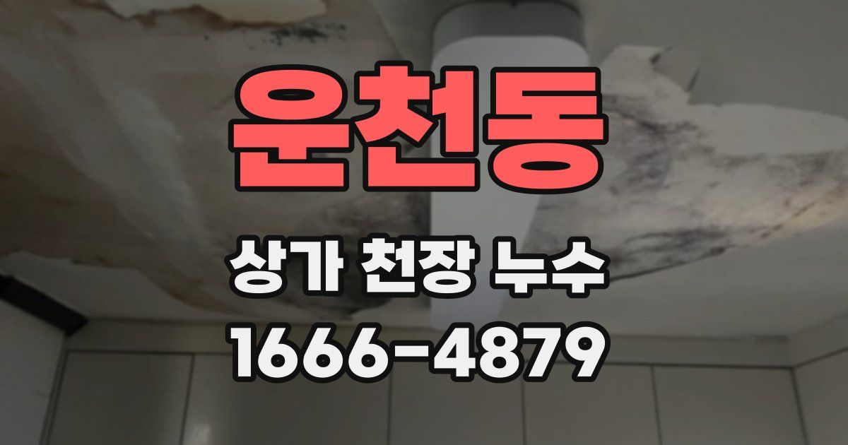 운천동 상가 천장 누수