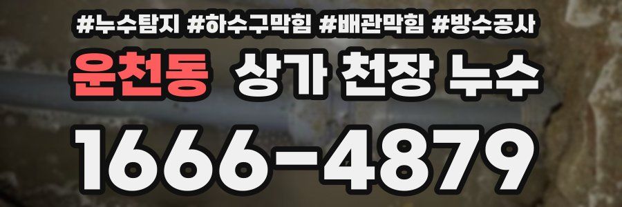 운천동 상가 천장 누수
