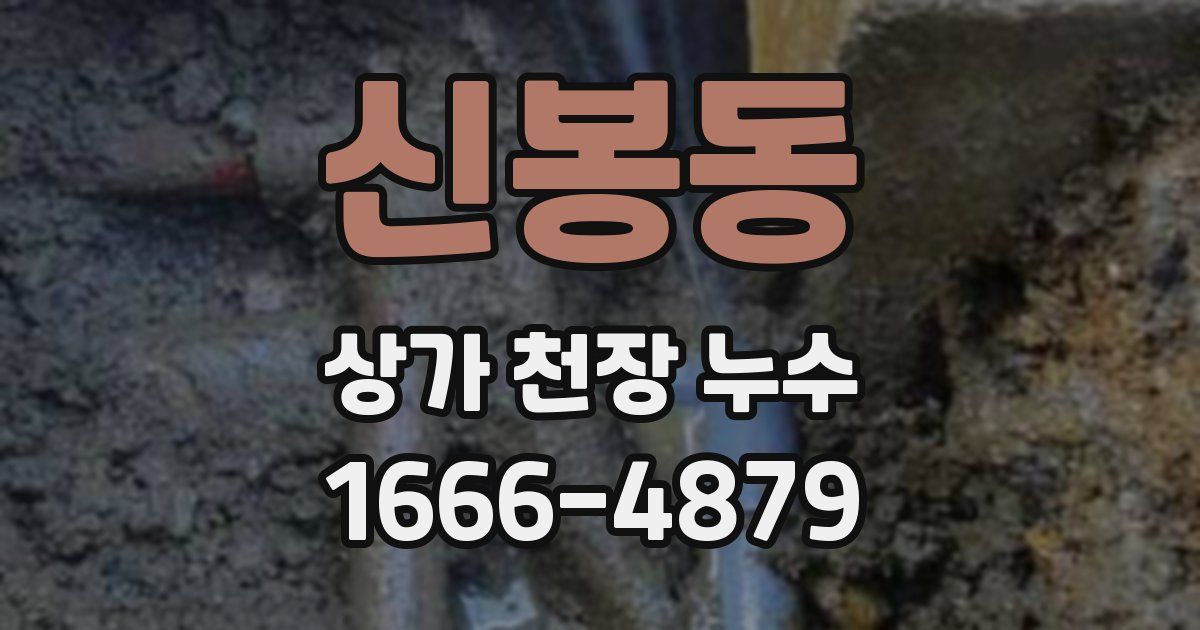 신봉동 상가 천장 누수