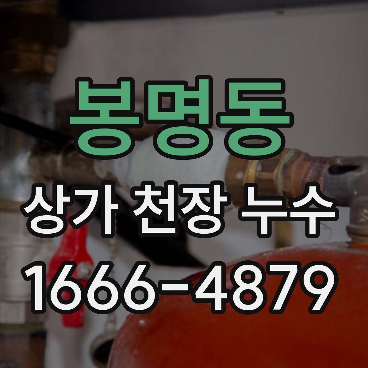 봉명동 상가 천장 누수