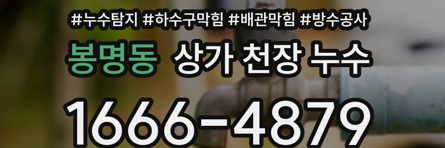 봉명동 상가 천장 누수
