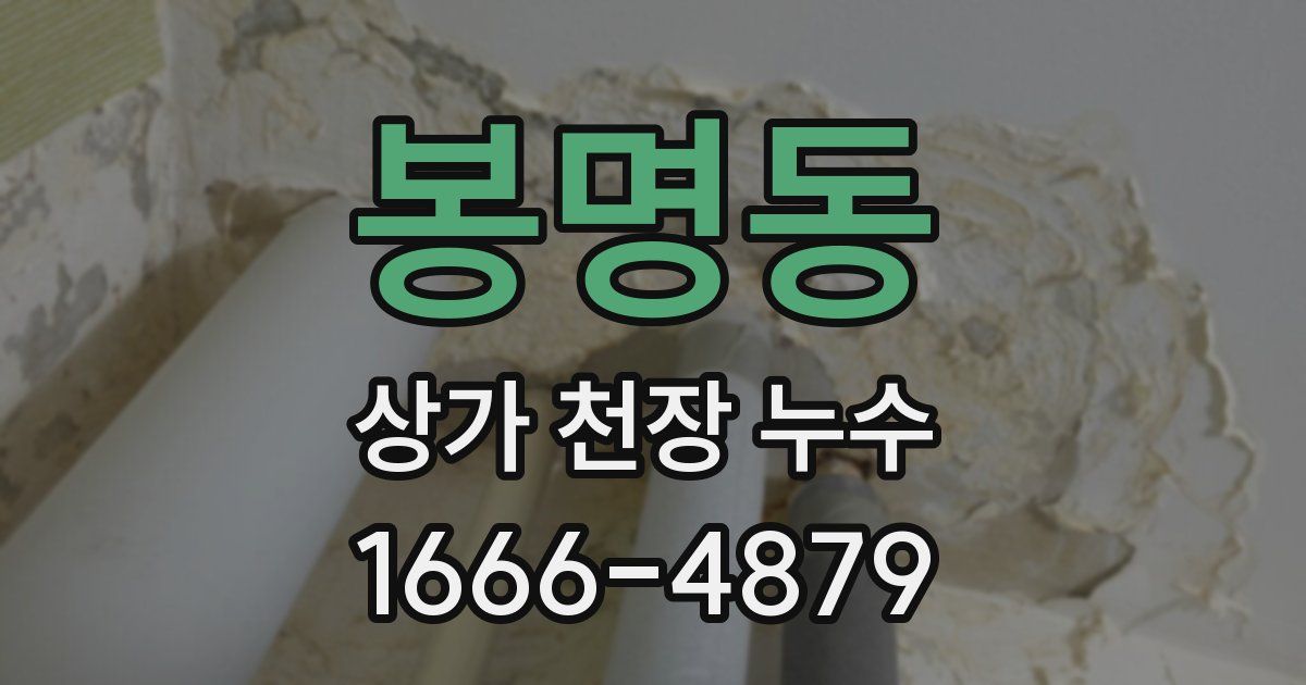 봉명동 상가 천장 누수