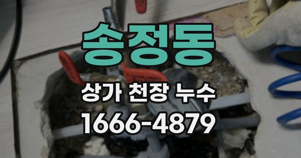 송정동 상가 천장 누수