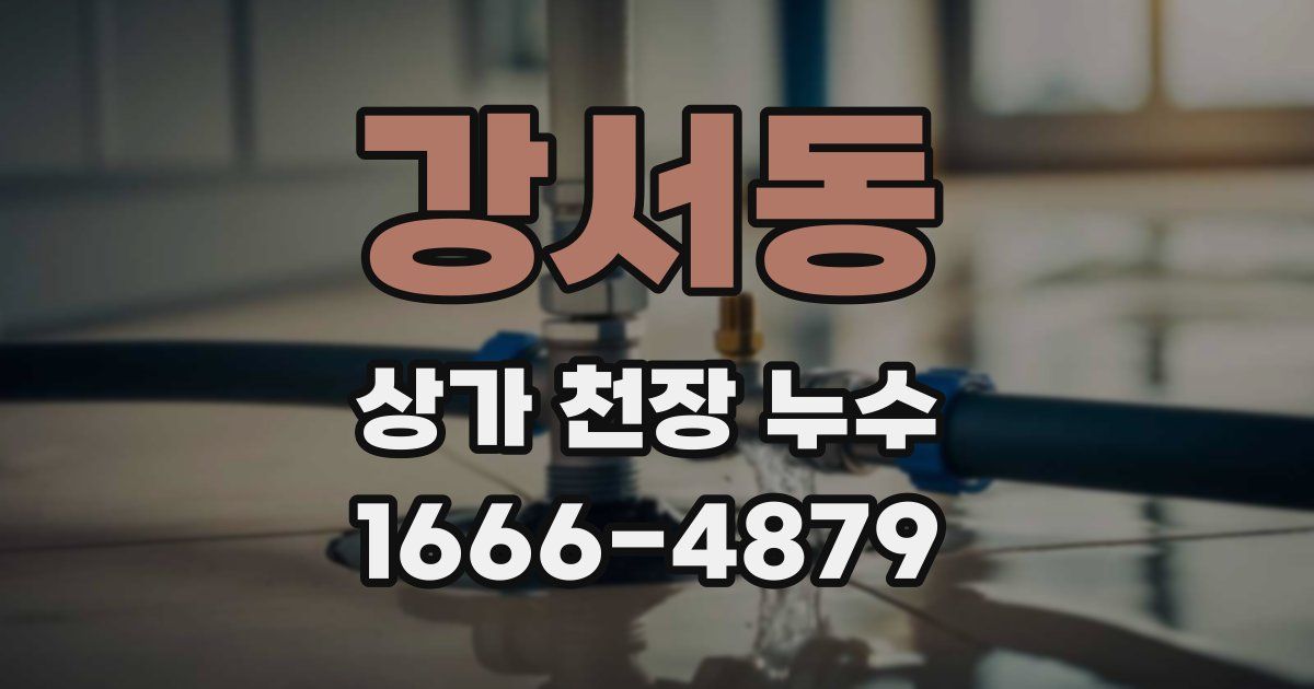 강서동 상가 천장 누수