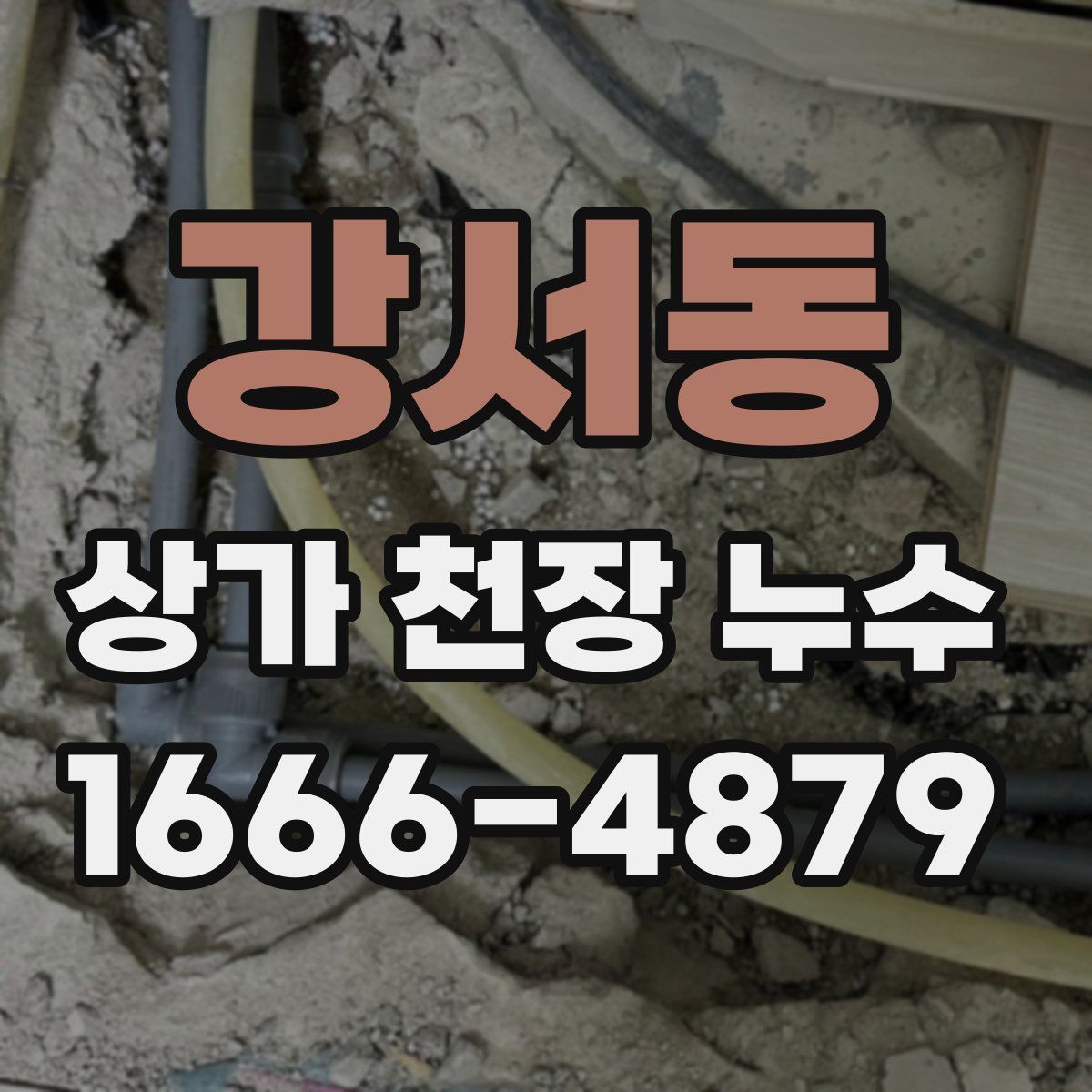 강서동 상가 천장 누수