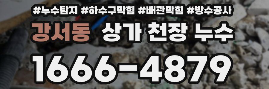 강서동 상가 천장 누수