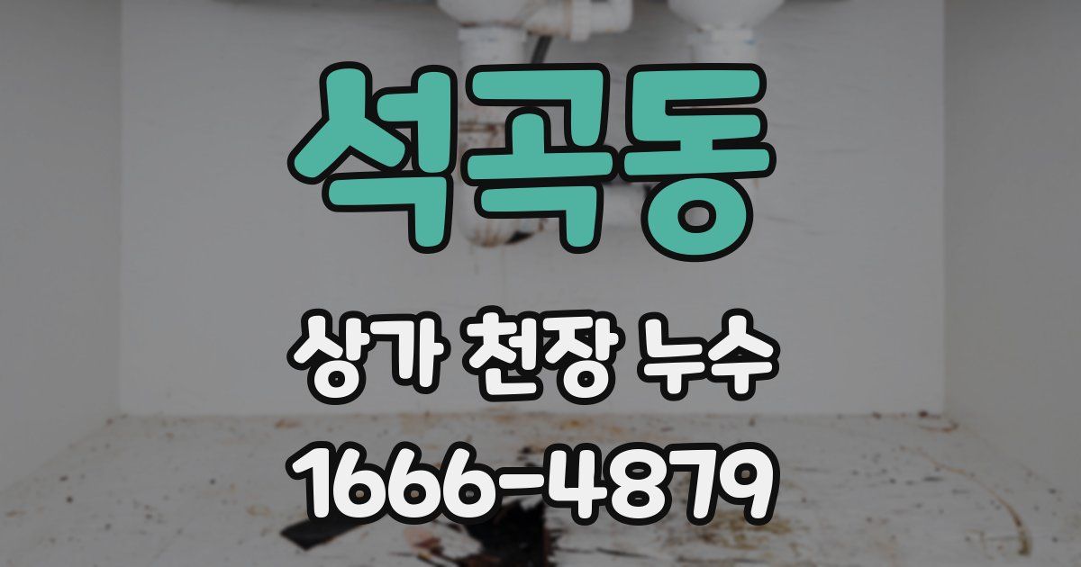 석곡동 상가 천장 누수