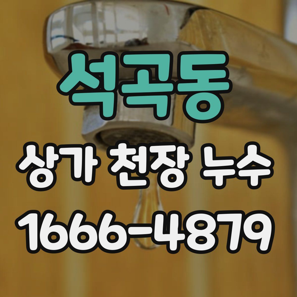 석곡동 상가 천장 누수