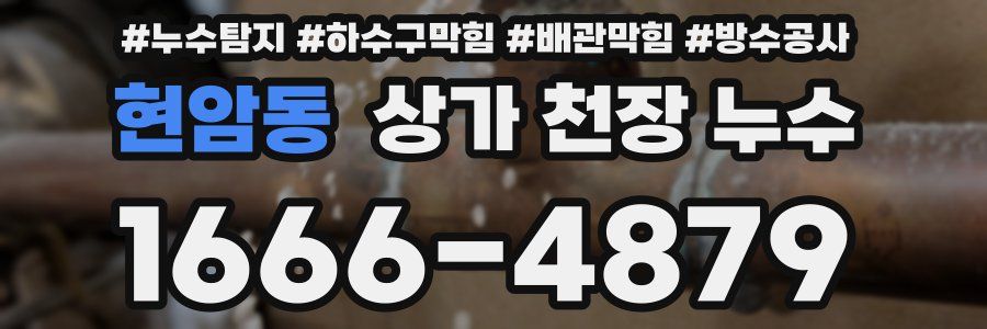 현암동 상가 천장 누수