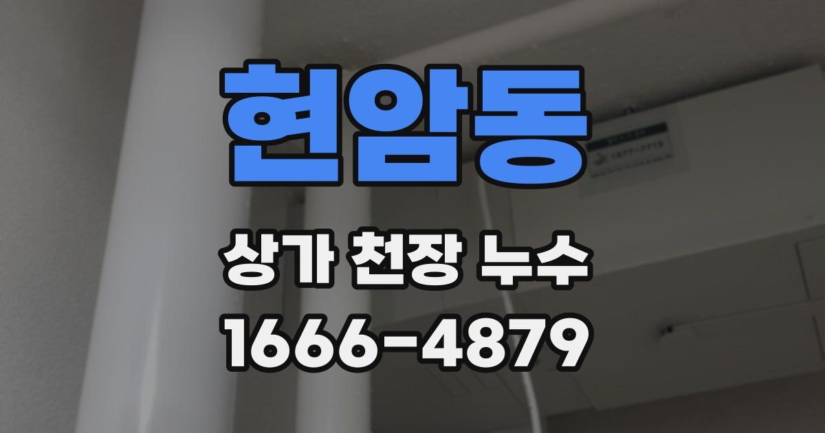현암동 상가 천장 누수