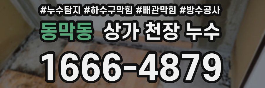 동막동 상가 천장 누수