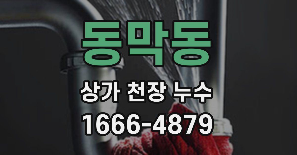 동막동 상가 천장 누수