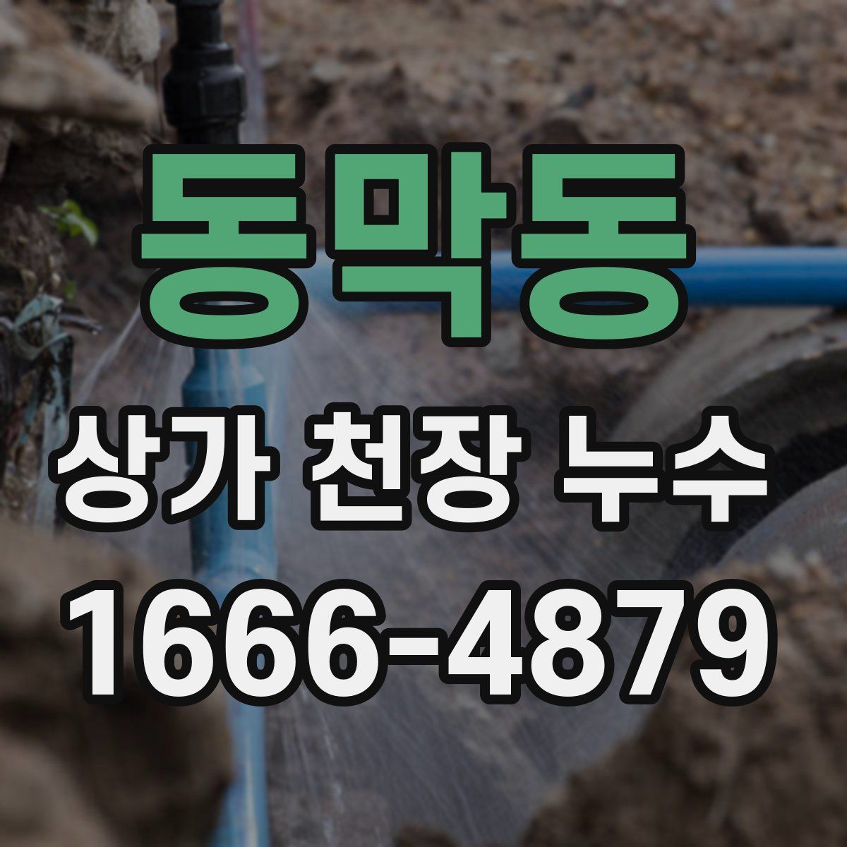 동막동 상가 천장 누수