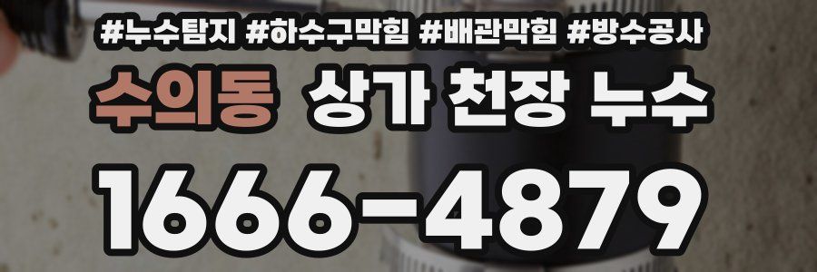 수의동 상가 천장 누수