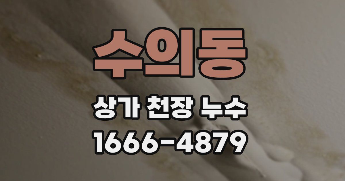 수의동 상가 천장 누수