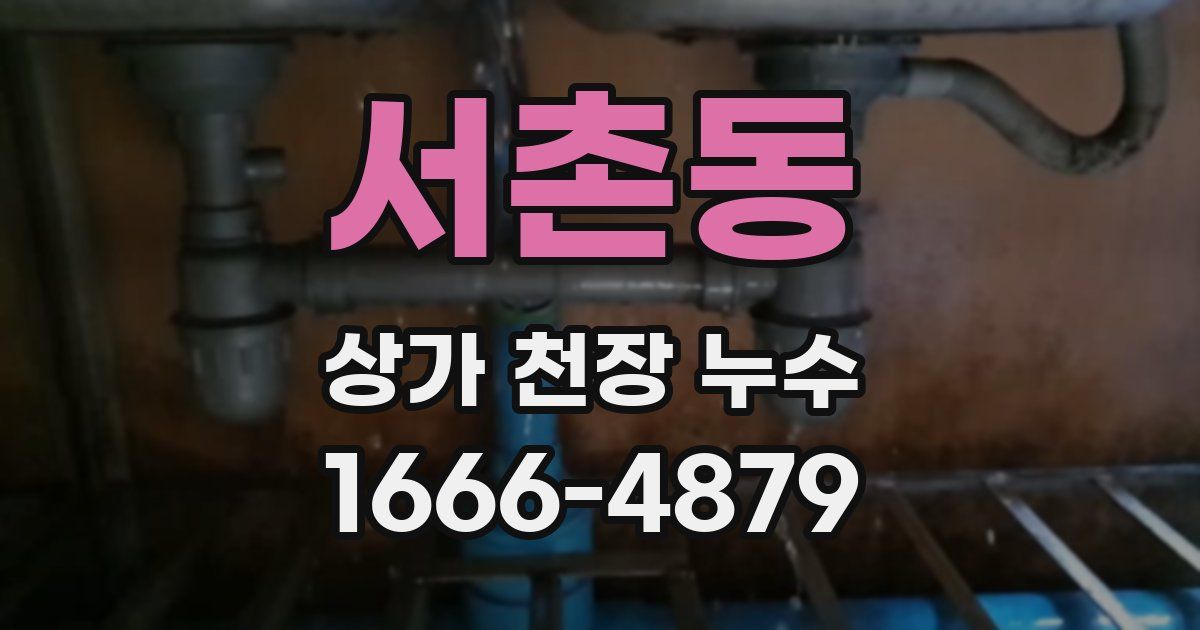 서촌동 상가 천장 누수