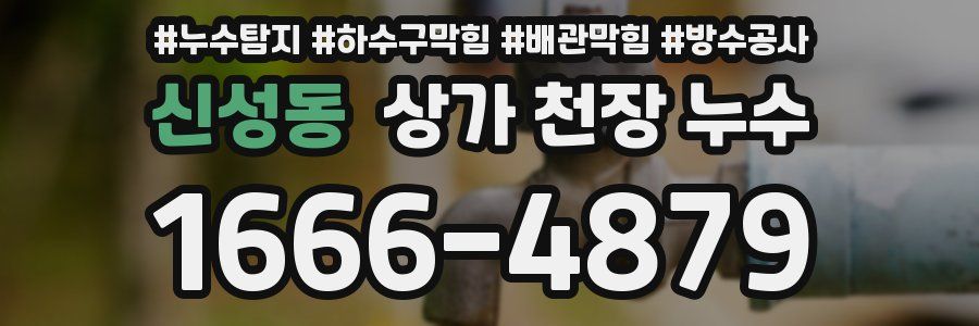 신성동 상가 천장 누수