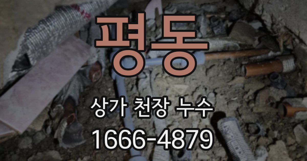 평동 상가 천장 누수