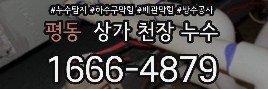 평동 상가 천장 누수
